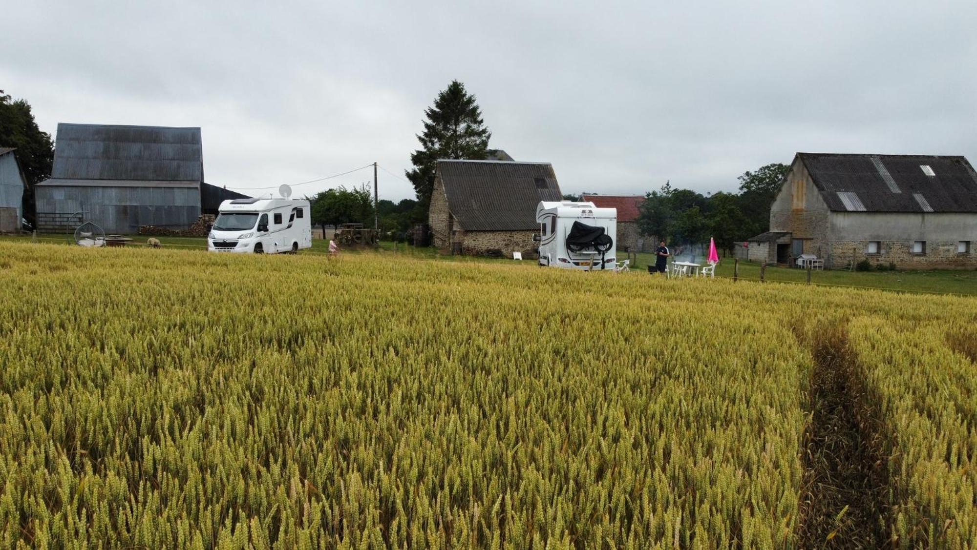 La Billardiere Camping A La Ferme Le Menil-Ciboult Екстериор снимка