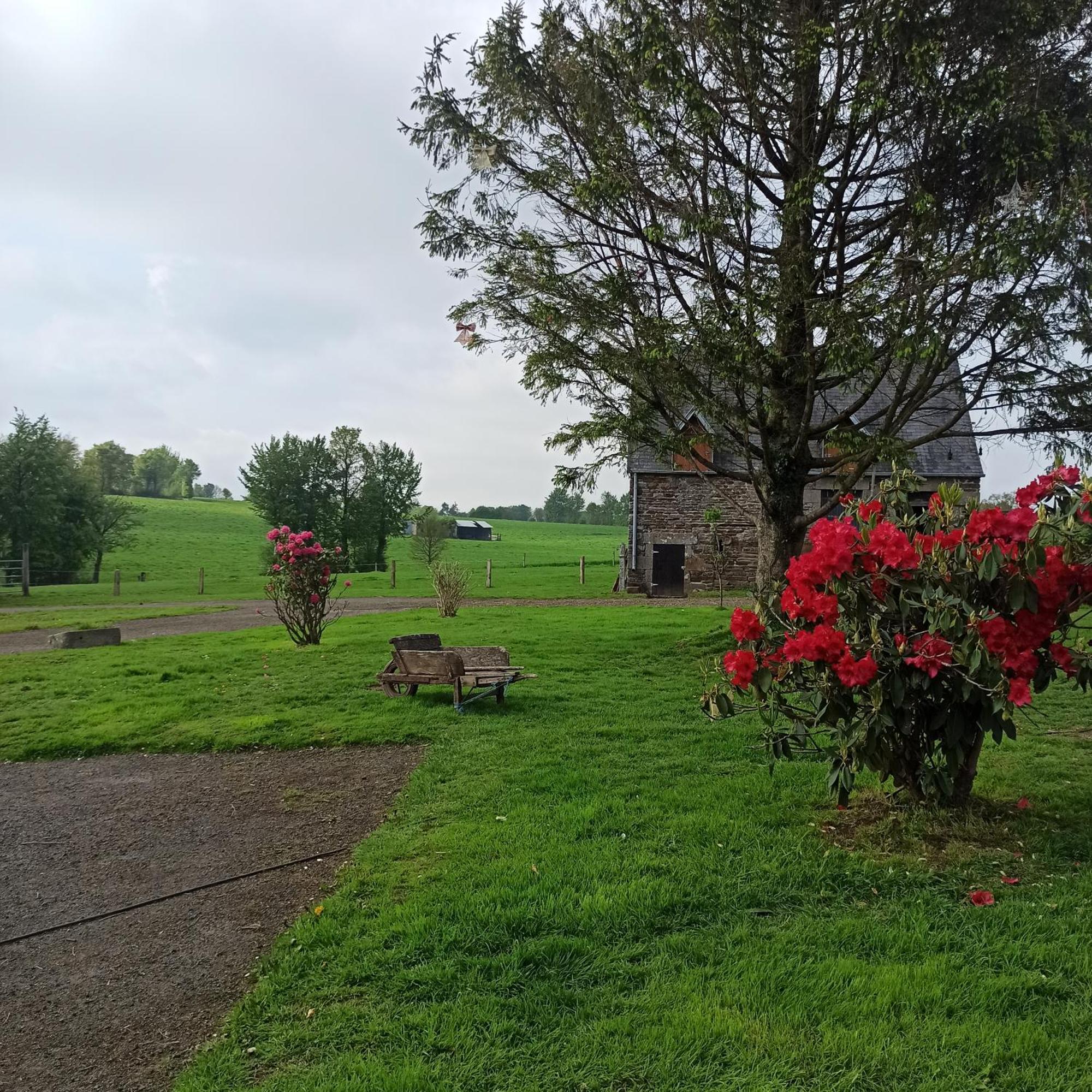 La Billardiere Camping A La Ferme Le Menil-Ciboult Екстериор снимка